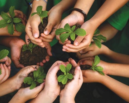CSR Activities